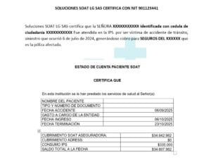 estado de cuenta paciente soat